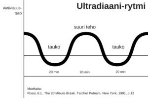 Ultradiaani-rytmi