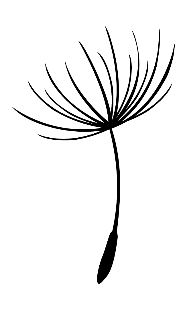 Access Bars